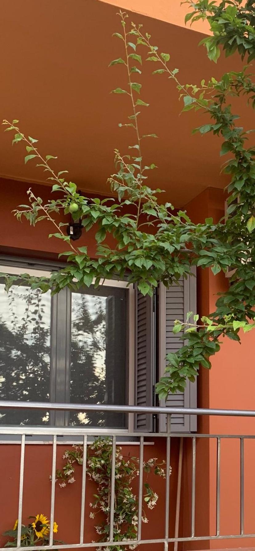 Lefkas Apartment Kalligoni Екстериор снимка